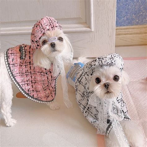 chanel dog outfit|coco chanel dog outfits.